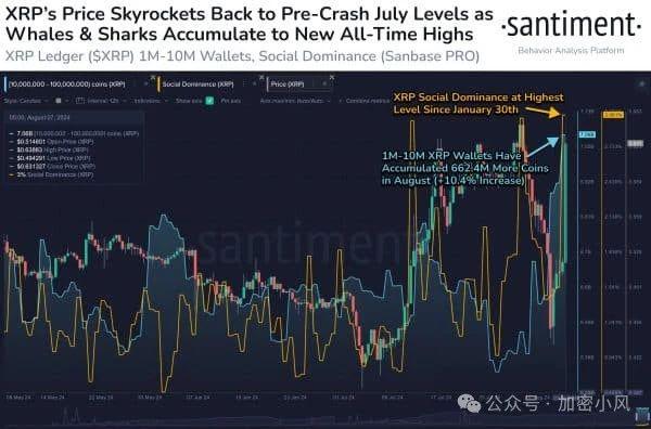 为什么今天XRP价格上涨？——深度探究XRP的升值原因