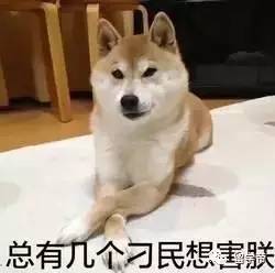 死亡交叉形成，烧伤率下降，柴犬面临45%的崩溃风险