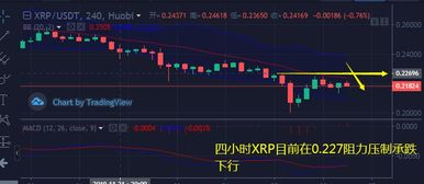 加密货币市场在比特币引领的反弹中反弹，Myria代币上涨