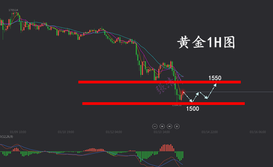 随着熊市技术面的出现，ZORA可能下跌15%