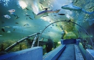 两巨鲸地址过去24小时售出约15万枚SOL，区块链的新里程碑