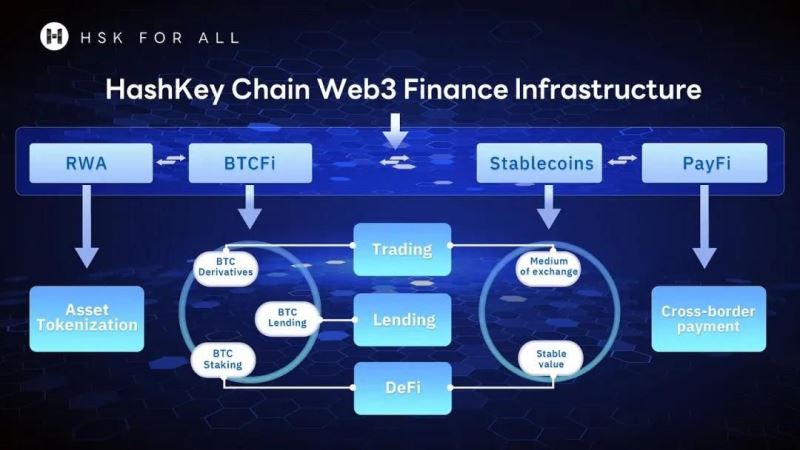 Hashkey与三星投资的Kite AI测试网，如何成功撸取空投？