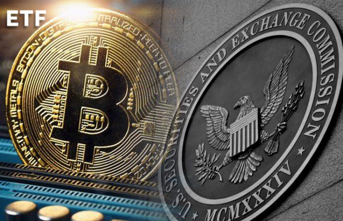 特朗普已指示马斯克审查美国防部支出与SEC推迟贝莱德以太坊ETF期权交易决议的影响分析