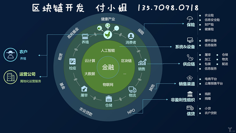 探索底层区块链技术引入BNM的可能性