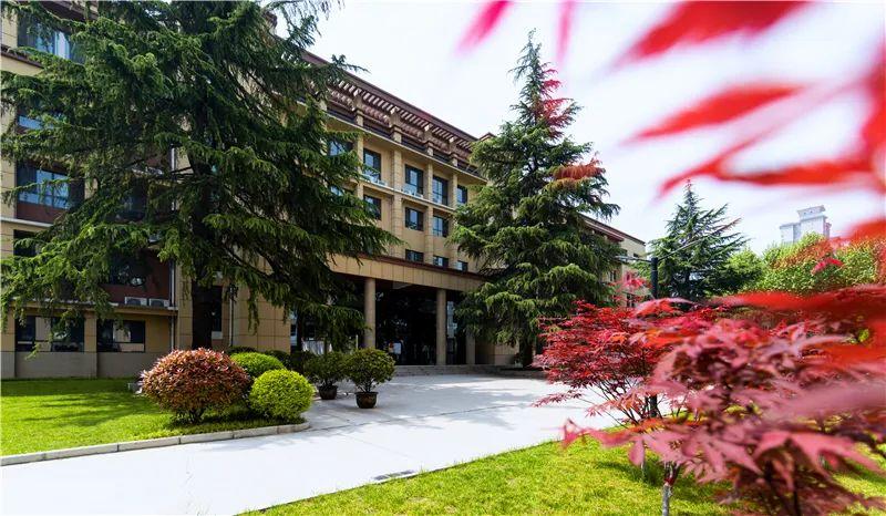 陕西小学生足球赛直播，激情与梦想的较量