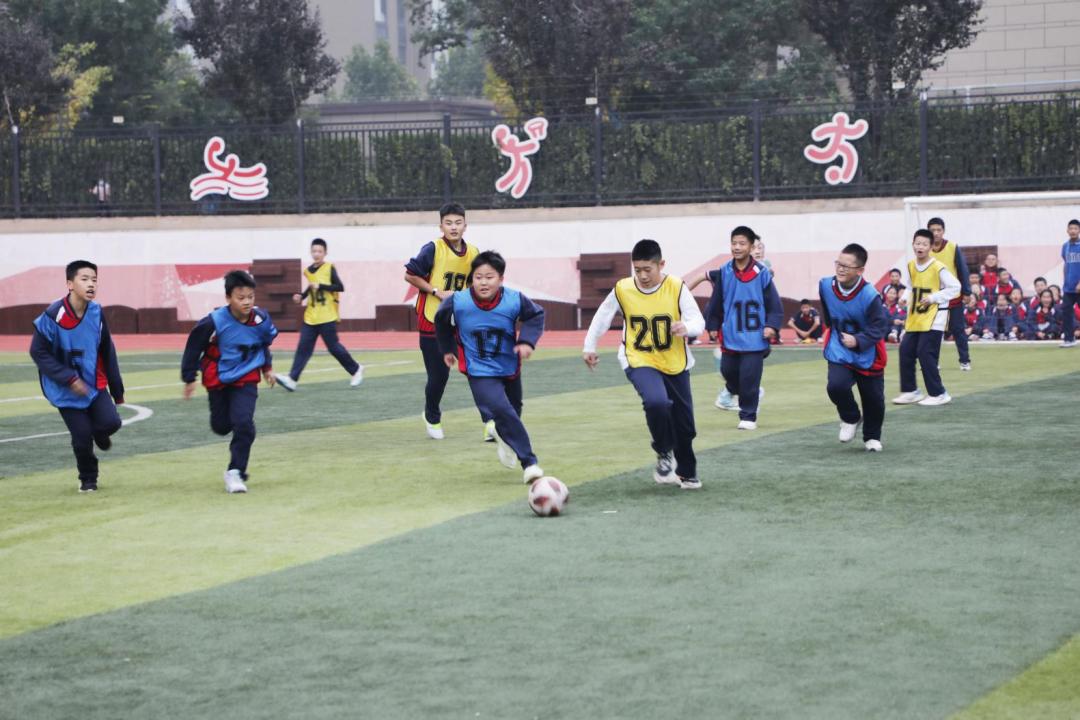 陕西小学生足球赛直播，激情与梦想的展现