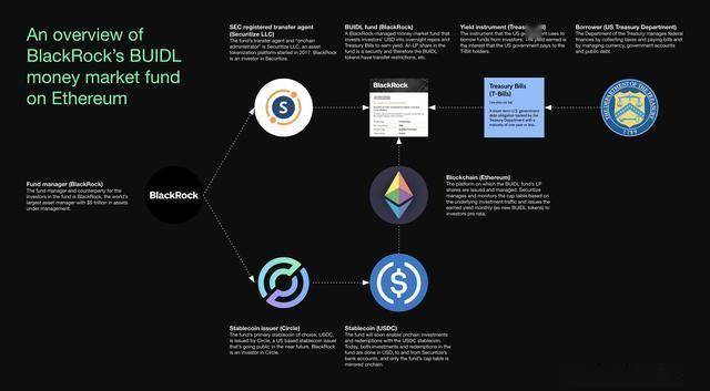 贝莱德BUILD更新揭示代币化货币市场基金核心设计选项分析