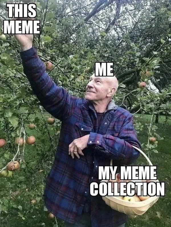 Meme，超越产品定义，市场并非后花园的博弈