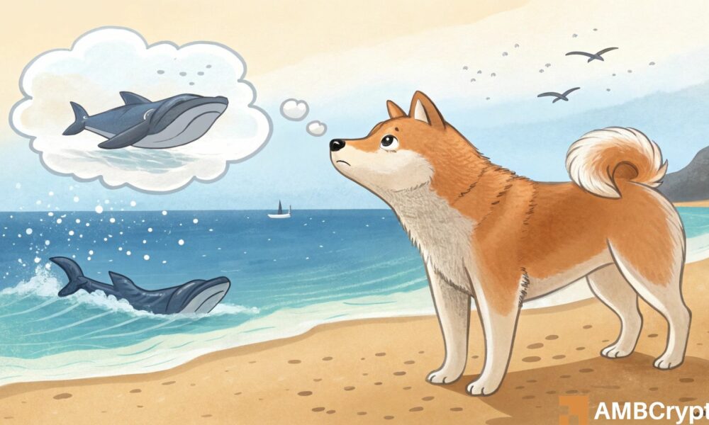 鲸鱼投降，柴犬面临更深潜风险