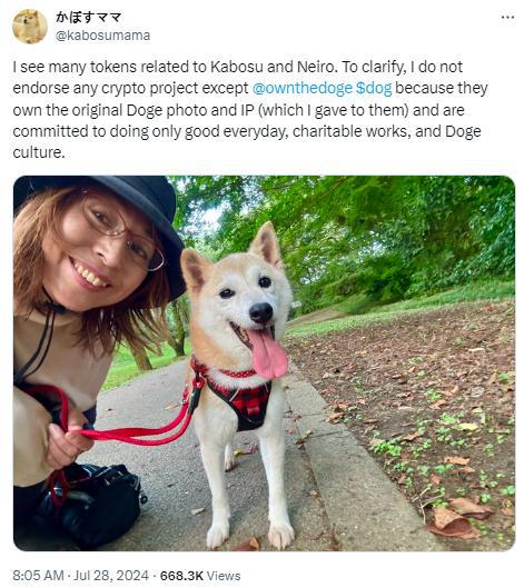 佩佩本周上涨超过250%，但仍落后于柴犬、狗狗币