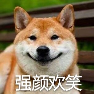 柴犬价格可能很快反弹的四大原因