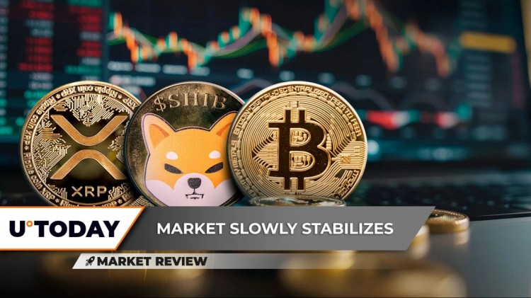 本周最值得关注的加密货币：BTC、XRP、SHIB