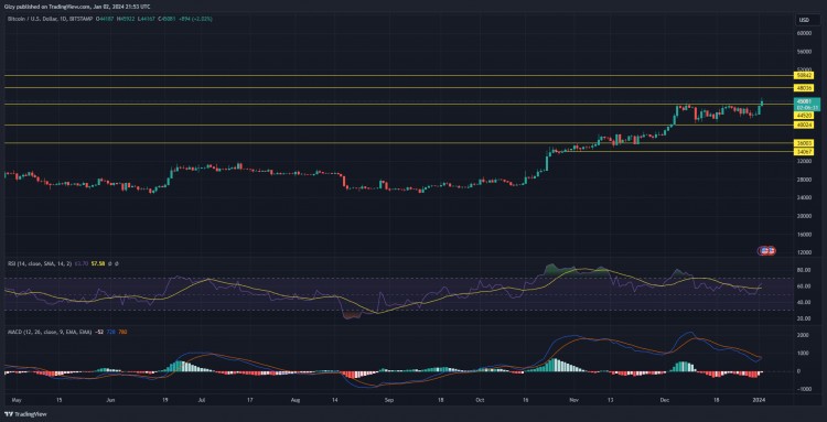 本周最值得关注的加密货币：BTC、XRP、SHIB