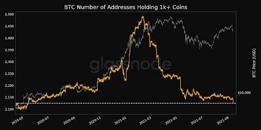为什么加密货币今天会下跌？随着市场涨势降温，BTC、ETH、XRP下跌