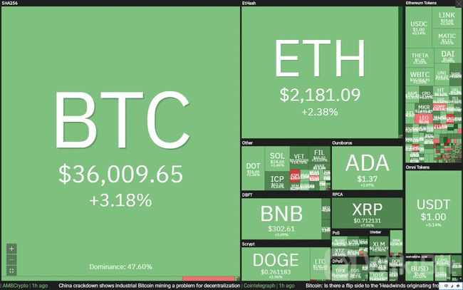 为什么比特币国债跟不上BTC？