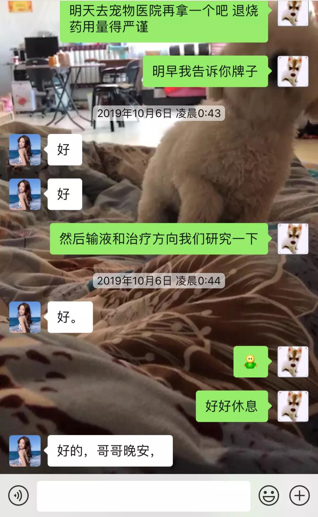 宠物医院线上咨询，聊天记录重构病情沟通新模式