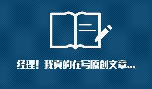 汤不热LyleSEO优化策略解析